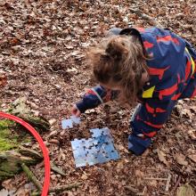 Voor de ouders thuis: welk kunstwerk word hier bij elkaar gepuzzeld?